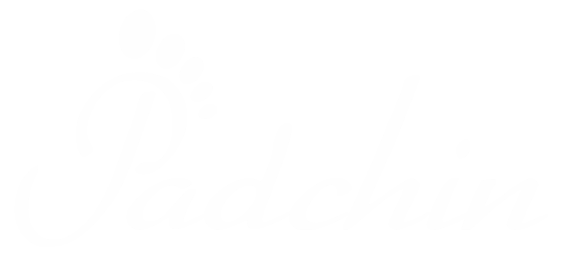 Padchin